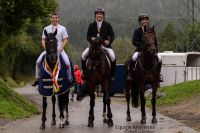 3-mal_Sprinz_am_Stockerl(c)M_Zederbauer