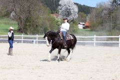 Ranch_Clinic(c)Claudia_Gruber
